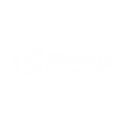 avatar of the portfolio of Simão Santos